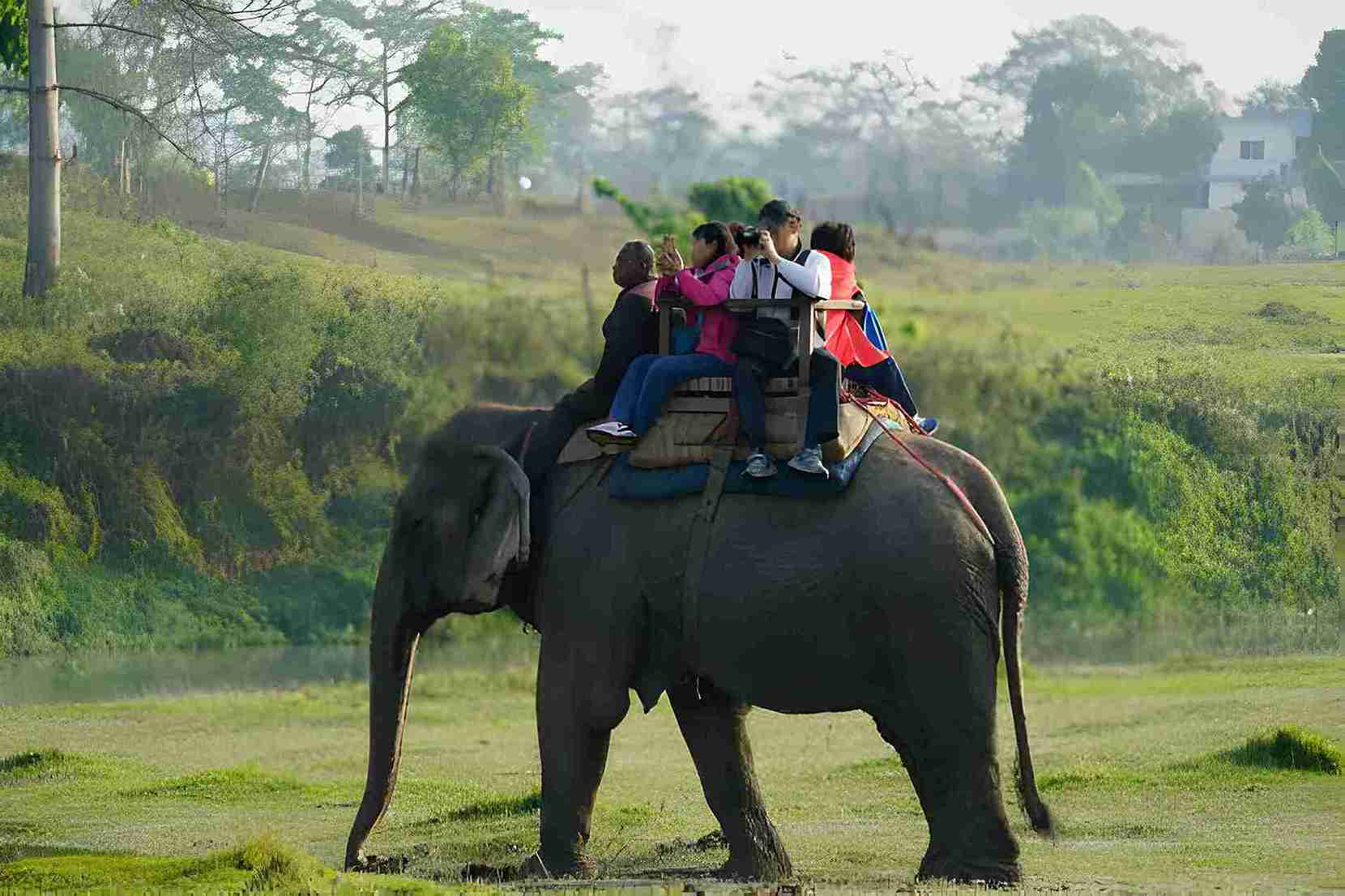 Chitwan Wildlife Tour Package 2024