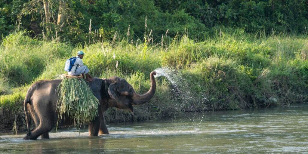 Exploring Wildlife and Culture of Chitwan